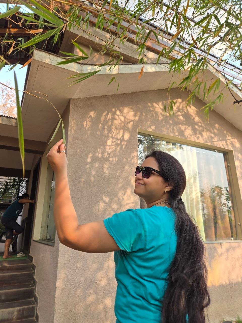 Reaching for bamboo leaves in golden sunlight